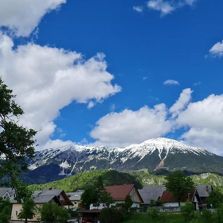 Guesthouse Osvald Zirovnica Kültér fotó