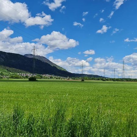 Guesthouse Osvald Zirovnica Kültér fotó