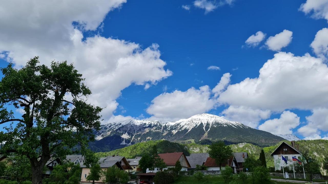 Guesthouse Osvald Zirovnica Kültér fotó