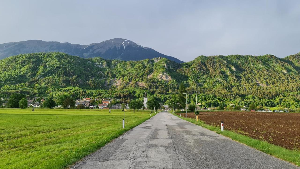 Guesthouse Osvald Zirovnica Kültér fotó